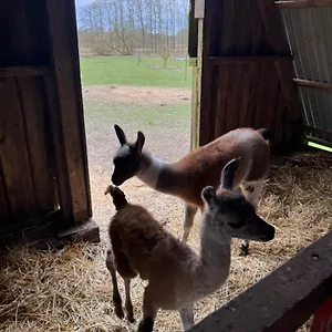 https://ost-trogelborg-farm-holiday.billund-hotels.com